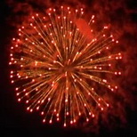 125_Silver Wave Chryzathemum to Red Green.jpg